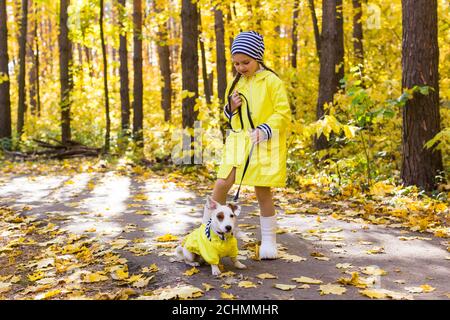 Kind spielt mit Jack Russell Terrier im Herbstwald. Herbstspaziergang mit Hund, Kindern und Haustierkonzept. Stockfoto