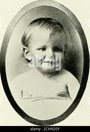 . Geschichte der Familie Carlile : Paisley Zweig . Stockfoto