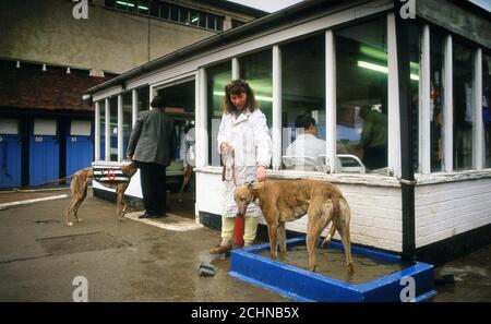 Brent Walker Hackney Greyhound-Rennstadion London Großbritannien. William Hill Super Trapper Treffen 1987 Stockfoto