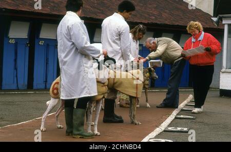 Brent Walker Hackney Greyhound-Rennstadion London Großbritannien. William Hill Super Trapper Treffen 1987 Stockfoto