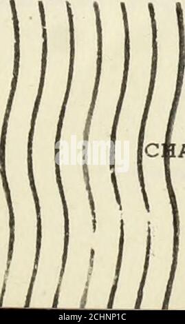 . Klimatologische Daten, New England . GJ 70 c &gt; o &lt;!» c S3 s K t-* w » X3»-^ cr-; 1 Z c » &gt; V OPI 5«- ^3   P r o ? r* t-H P e • to si &lt;9 t^ w 3 , -*• – P3. fll / I s s c CHATTANOOGA: 1953 W PS tn 5.. H« O NEW ENGLAND - MAI 1953 James K. HcGuire, Section Director - Boston, Mass WETTERBERICHT der Mai setzte den Trend der Vormonate 1953 für übernormale Temperaturen und Niederschläge fort. Sie brachte jedoch keine Extreme in einem der wichtigsten Wetterelemente; es gab keine wirklich severe Perioden des stürmischen Wetters; und, besonders während seiner zweiten Hälfte, produzierte der Monat p Stockfoto