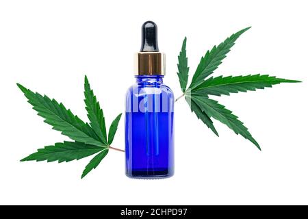 Hanföl Serum in blauen Glas Tropfflasche mit Cannabisblättern isoliert auf weißem Hintergrund. Cannabisblatt mit kosmetischem CBD-Öl für die Hautpflege Stockfoto