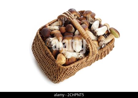 Korb Narr von Boletus Pilze isoliert auf weißem Hintergrund. Vegetarische gesunde Lebensmittel. Gesunde Ernährung Hintergrund. Stockfoto