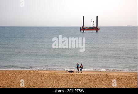 Ein Paar Hunde auf dem Strand mit einem kleinen Jack-up Rig auf See in North Norfolk in Happisburgh, Norfolk, England, Großbritannien. Stockfoto