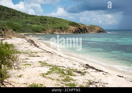 Atemberaubender Karibikstrand mit üppiger Küstenlandschaft an einem sonnigen Tag am östlichen Ende von St. Croix auf den amerikanischen Jungferninseln Stockfoto