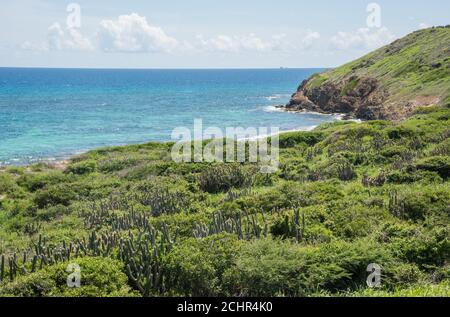 Atemberaubende karibische Gewässer mit üppigem Küstengrün an einem sonnigen Tag am östlichen Ende von St. Croix auf den US-amerikanischen Jungferninseln Stockfoto