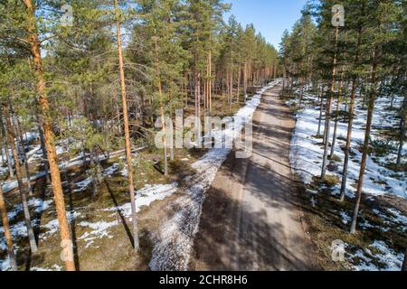 Waldstraße durch Nadelwald , Kiefern ( Pinus Sylvestris ) im Frühjahr , Finnland Stockfoto