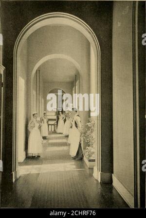 . Öffentliche Dokumente des Staates Connecticut. . HARTFORD KRANKENHAUS. LEITENDE ANGESTELLTE DES HARTFORD KRANKENHAUSES. Zu Beginn des Geschäftsjahres, September jo, i£GS. Exekutivkomitee. HENRY K. MORGAN, 108 Farmington Ave.HARMON G. HOWE, M.D., 137 High St.THOMAS SISSON, 729 Main St. Superintendent. BENJAMIN S. GILBERT. Hausarzt. WILLIAM S. REOCH, M.D. Residenter Chirurg. ALBERT M. ROWLEY, M.D. Assistenzarzt. IRVING D. BLANCHARD, M.D. Assistenzarzt. HEMAN A. TYLER, JR., M.D. Matron und Lady Superintendent der Ausbildungsschule. MISS ELIZABETH M. FREUNDIN. Nachtmatron. Frau S. Stockfoto