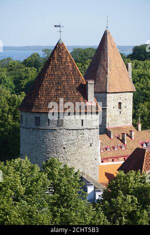 Stadtmauer mit Bastionen, Altstadt, Tallinn, Estland, Europa Stockfoto