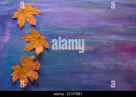 Farbenfroher Hintergrund mit trockenen Herbstblättern von Ahorn. Herbstkomposition. Flach liegend. Stockfoto