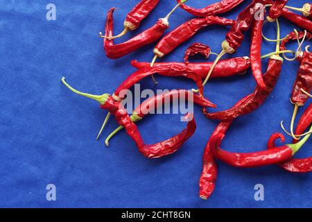 Draufsicht auf getrocknete rote Chili-Paprika auf hellblauem Hintergrund. Natürliche Lebensmittelzutat in Nahaufnahme mit Copyspace nach links. Stockfoto