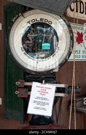 Klassische große Toledo Gemüsestände bereit in einem Obststand am Straßenrand mit einem Schild mit der Aufschrift Bitte wiegen Sie Ihre Kürbisse hier. Stockfoto