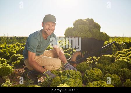 In voller Länge Porträt von lächelnden männlichen Arbeiter Blick auf die Kamera, während Ernte auf Gemüseplantage im Freien sammeln, kopieren Raum Stockfoto