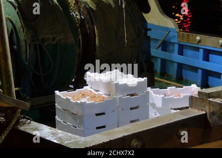 Das italienische Fischerboot kehrt mitten in der Nacht zurück Mit Kisten voller frischem Fisch Stockfoto