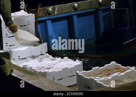 Das italienische Fischerboot kehrt mitten in der Nacht zurück Mit Kisten voller frischem Fisch Stockfoto