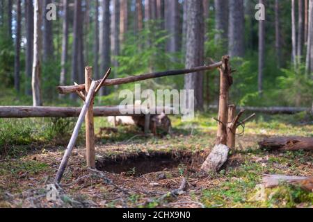 Campingplatz mit Holzbänken im Sommerwald. Stockfoto