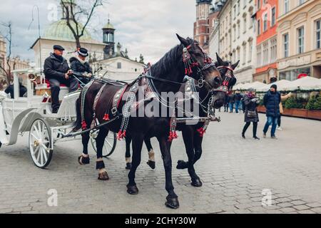 KRAKAU, POLEN - 7. März 2020: Kutschenfahrten auf dem Marktplatz. Schwarz geschmückte Pferde laufen im Stadtzentrum Stockfoto