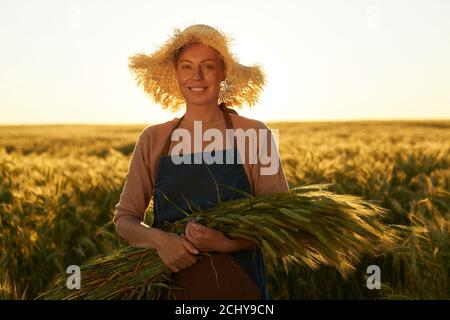 Waist-up-Porträt von lächelnden jungen Frau hält Haufen Roggen, während posiert auf goldenes Feld in Sonnenuntergang Licht, kopieren Raum Stockfoto