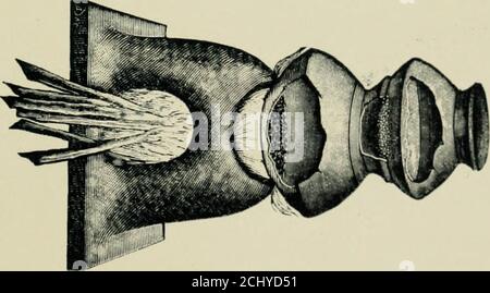 . Eine Geschichte der Hindu-Chemie von den frühesten Zeiten bis zur Mitte des sechzehnten Jahrhunderts, A.D. . 2^. Stockfoto