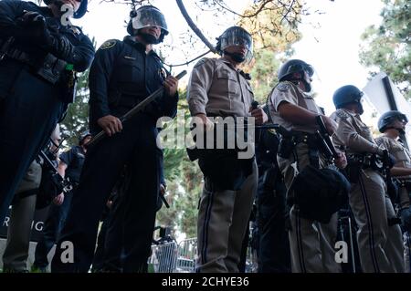 Los Angeles, CA, USA. November 2009. Studenten und Polizisten treten bei einem Protest gegen eine 32-prozentige Studienzuwachs an der Universität o ins Gesicht Stockfoto