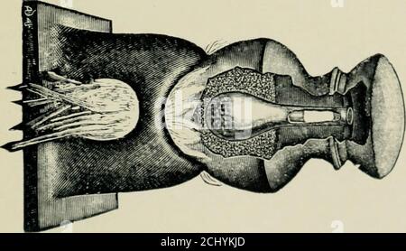 . Eine Geschichte der Hindu-Chemie von den frühesten Zeiten bis zur Mitte des sechzehnten Jahrhunderts, A.D. . Stockfoto