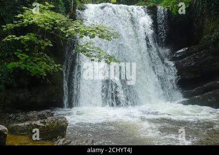 Janet's Foss Wasserfall in der Nähe von Malham in den schönen Yorkshire Dales Nationalpark Stockfoto