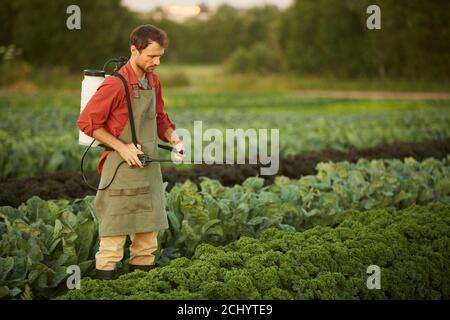 Porträt eines männlichen Arbeiters, der auf der Plantage Getreide und Gemüse mit Dünger spritzt, Kopierraum Stockfoto