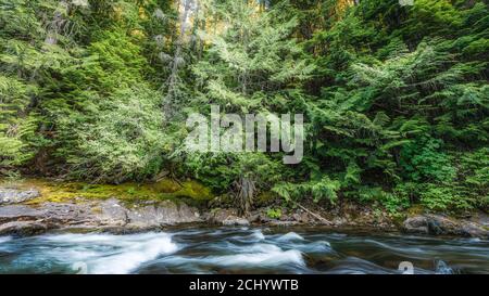 Landschaftsansicht des Bergflusses im Wald bei Sonnenaufgang in Nord-Idaho. Stockfoto