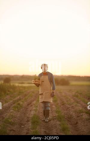 Vertikales Ganzkörperporträt des bärtigen Bauern, der zur Kamera geht Im Feld beleuchtet von Sonnenuntergang Licht Stockfoto