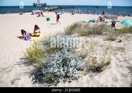 Heißer Tag am Strand in Gdynia, Polen. 11. August 2020 © Wojciech Strozyk / Alamy Stockfoto Stockfoto