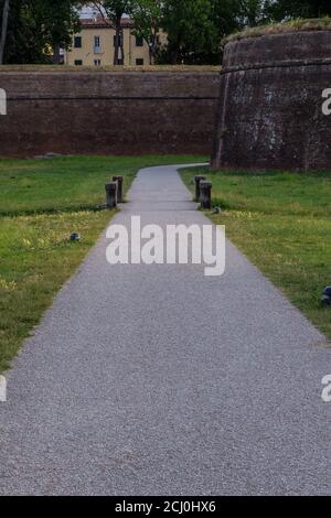 Blick auf die Stadtmauer von Lucca, Italien Stockfoto