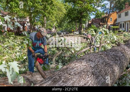 Detroit, Michigan - Arbeiter säubern Schäden, die durch die Überreste des tropischen Sturms Cristobal verursacht wurden. Der Sturm brachte große Bäume zum Boden und sorgte für weite Weiten Stockfoto