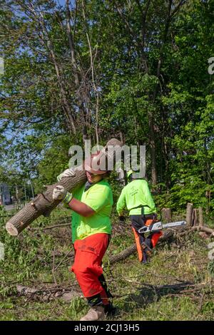 Detroit, Michigan - Arbeiter von der Detroit Grounds Crew klar überwuchert Bürste auf einem freien Grundstück. Stockfoto