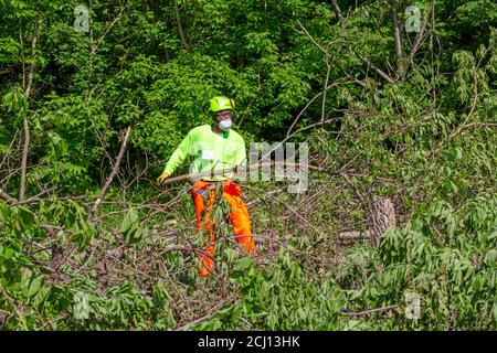 Detroit, Michigan - Arbeiter von der Detroit Grounds Crew klar überwuchert Bürste auf einem freien Grundstück. Stockfoto