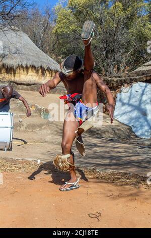 Zulu-Tänzer in traditioneller Tracht, tanzen den Ingoma-Kriegertanz. Creda Mutwa Dorf, Südafrika Stockfoto