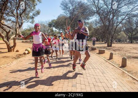 Afrikanische traditionelle Tänzer bei einer Hochzeit in Soweto Township, Südafrika Stockfoto