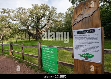 Covid19 Warnhinweis bei der Haupttouristenattraktion Oak in Sherwood Forest, Nottinghamshire. Stockfoto