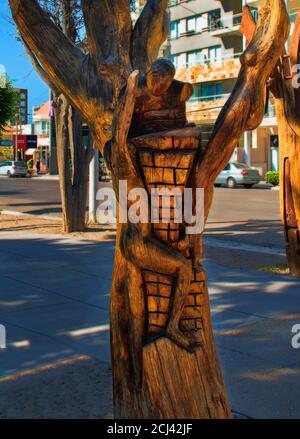 Kunstwerke in der Innenstadt von Puerto Madryn, geschnitzten Baum, Puerto Madryn, Chubut, Argentinien, Südamerika Stockfoto