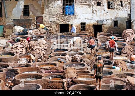 Handlederfärben in der historischen Chouara Gerberei in Fez, Marokko, ist seit dem 11. Jahrhundert in Betrieb. Stockfoto