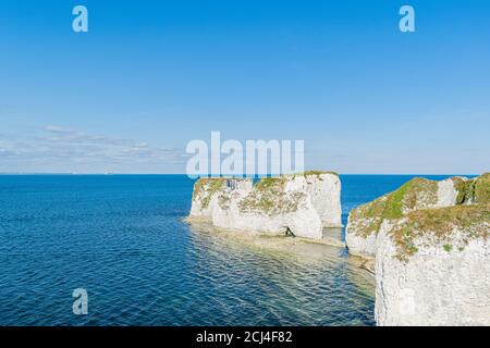 Old Harry Rocks sind drei Kreideformationen, die sich am Handfast Point auf der Insel Purbeck in Dorset, Südengland, befinden. Beliebtes Touristenziel Stockfoto