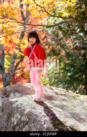 Kleines Mädchen trägt eine orangefarbene Fleece-Jacke, während sie auf einem Felsen in einem Wald steht. Herbstsaison. Stockfoto