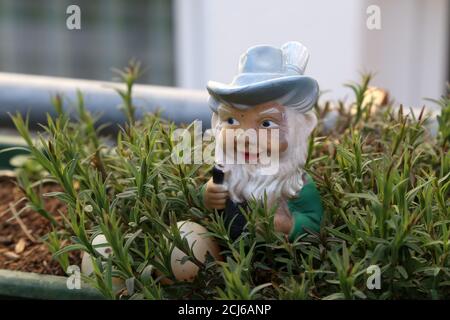 Nahaufnahme eines Garten-Zwerges in einem Hausgarten Stockfoto
