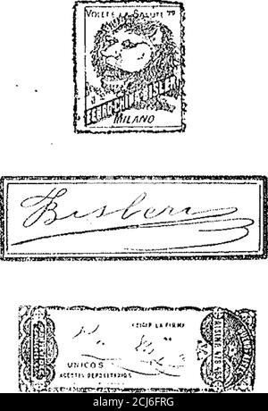 . Boletín Oficial de la República Argentinien. 1907 1ra sección . Stockfoto