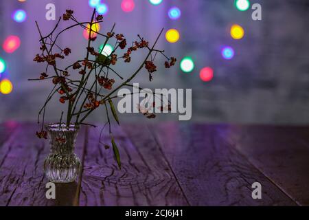 Trockener Zweig in einer Glasvase steht auf dem Tisch Stockfoto