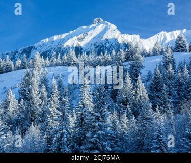 Frisch gefallener Schnee in Rocky Mountain Town, Canmore, Alberta, Kanada Stockfoto