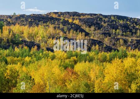 Hügel, die von Bergbauaktivitäten betroffen waren, beginnen zu regenerieren, Coniston (Sudbury), Ontario, Kanada, im Herbst glühen. Stockfoto