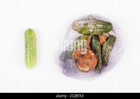 Grüne Gurke gegenüber faulen Apfel, Gurken, Karotte in Netzbeutel auf weißem Hintergrund. Globales Hunger-Problem. Überkonsum-Konzept. Draufsicht Stockfoto