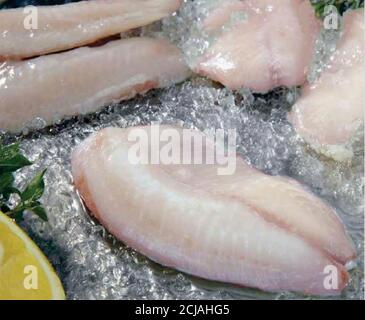 Frischer Fisch auf dem Eiswürfel, Filletti di cernia oltre Mare prodotto congelato, gehäutet roher Fisch in einer sauberen Olive, frisches Huhn auf einem Balken zum Kochen Stockfoto