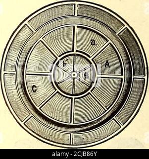 . Die Straßenbahn Zeitschrift . S. M. CARPENTER, PROP C. J. LANGDON, SECY. GIESSEREI FULTON, MANUFACTU EEES OP. STRASSENBAHNBEDARF, Tischler Patent Drehtische und Transfer-Tische, * Open Wheels in allen Größen und Gewichten. Räder und Achsen aller Größen kurzfristig montiert. Gekühlte Kurve Schiene, Weichen, Schalter, etc., etc. Blaue Drucke und Rechnungen Furnishedon Anwendung. Für illustrierten Katalog senden. Adresse, Jahr % FULTON GIESSEREI, 202 MERWIN ST. CLEVELAND, OHIO. Stockfoto