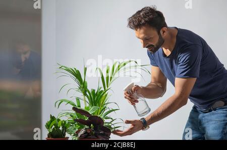 Junger Mann wässern seine Pflanzen zu Hause Stockfoto